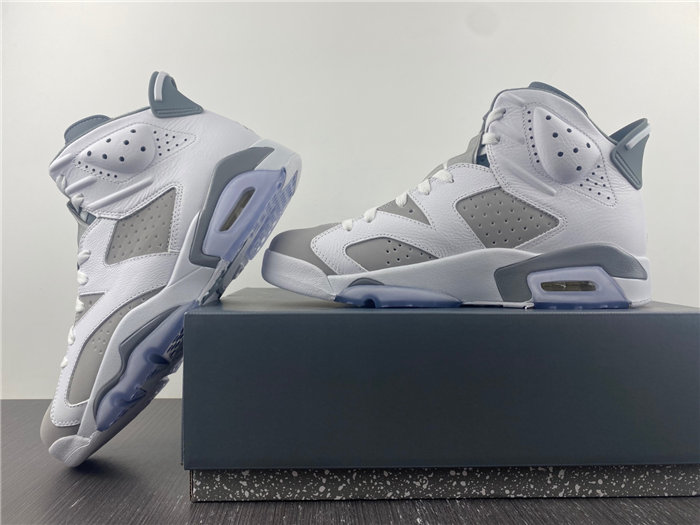 Jordan 6  Cool Grey CT8529-100