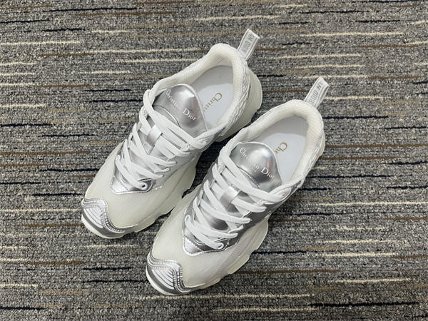 Dior Sneaker 010