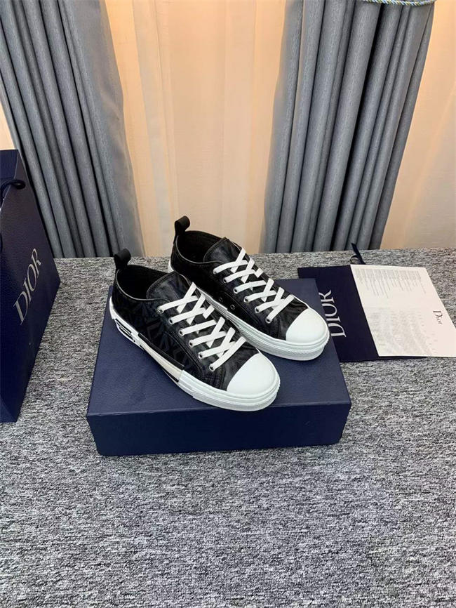 Dior B23 Low Top