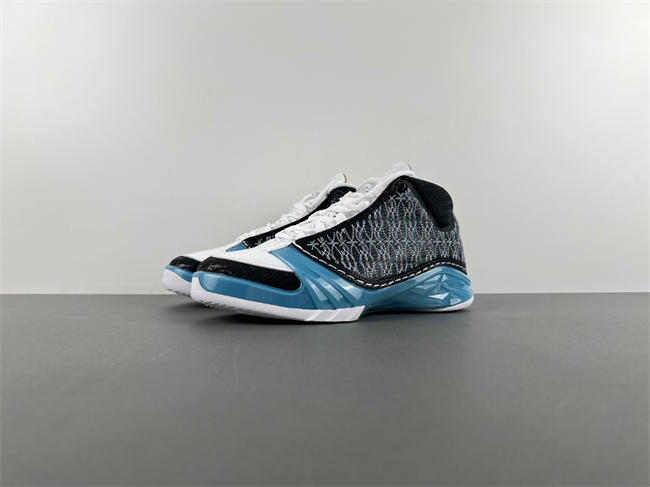 Air Jordan 23 UNC 318376-041