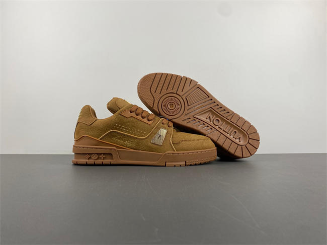 Louis Vuitton LV trainer  x2 110