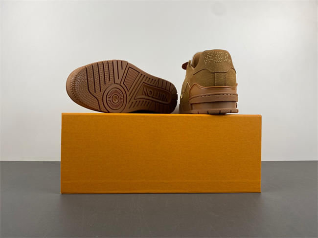 Louis Vuitton LV trainer  x2 110