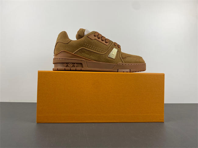 Louis Vuitton LV trainer  x2 110