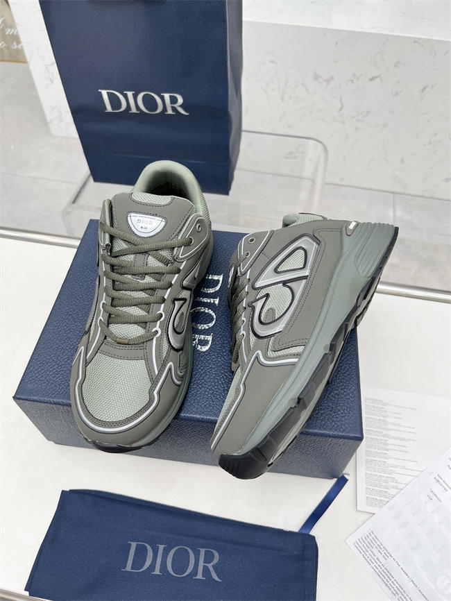 Dior B30 Sneaker D9011