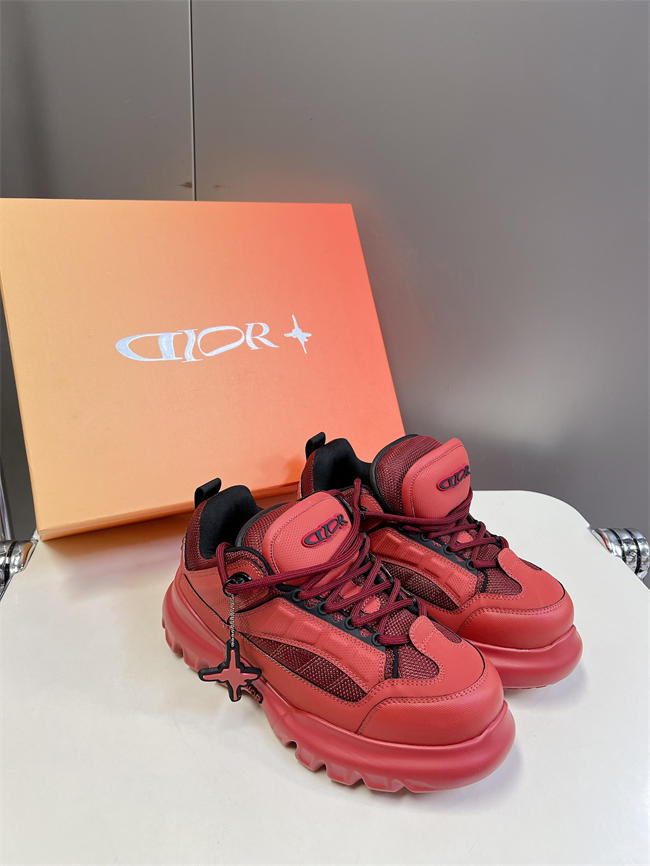 Dior B30 Sneaker D1504